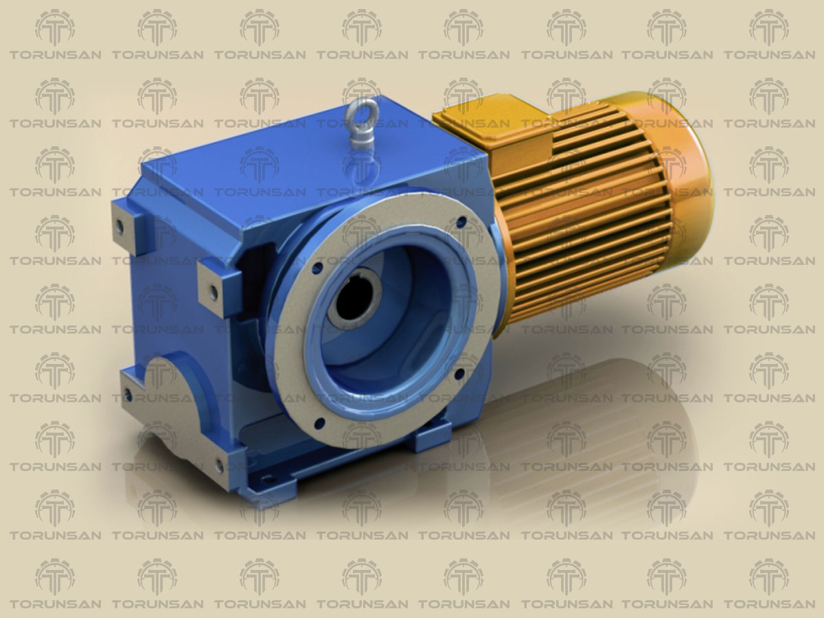 TRN - 15031 / Ana Motor